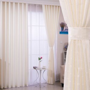Sheer Curtain